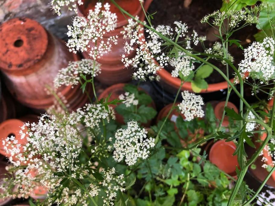 Вілла Kings Cross, Self-Contained House & Private Garden Лондон Екстер'єр фото